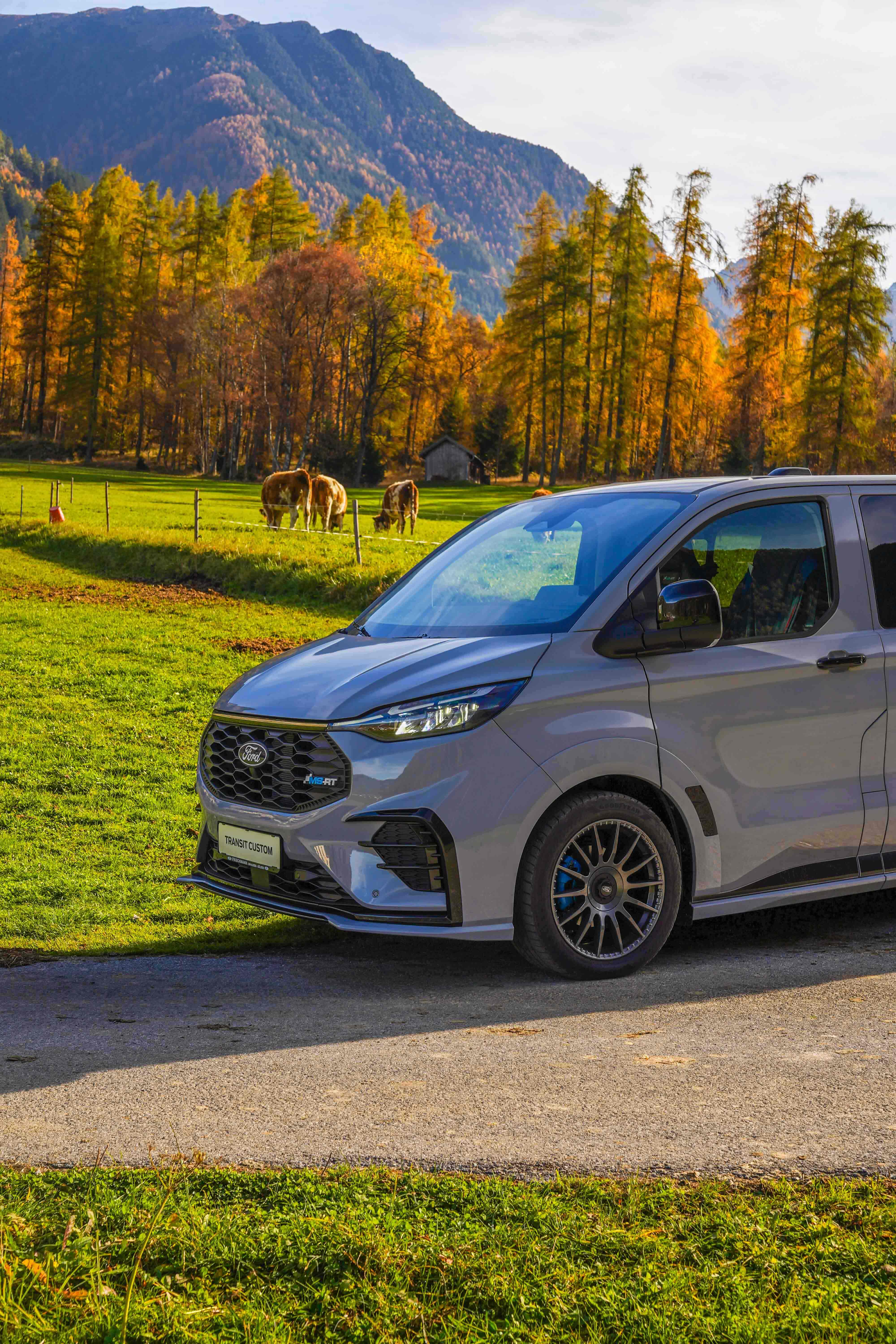 Ford Custom MSRT in Grau vor Wald und Bergen