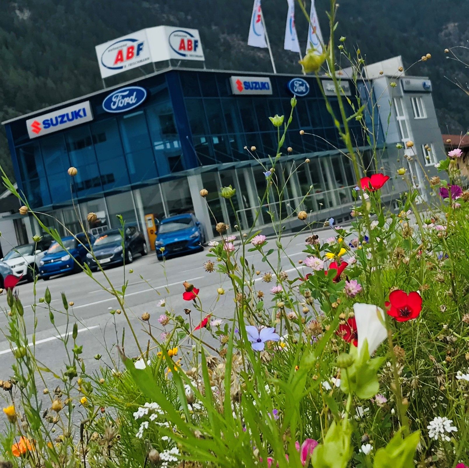 Auto B. Frischmann GmbH